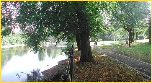 Walking in or near Llanidloes