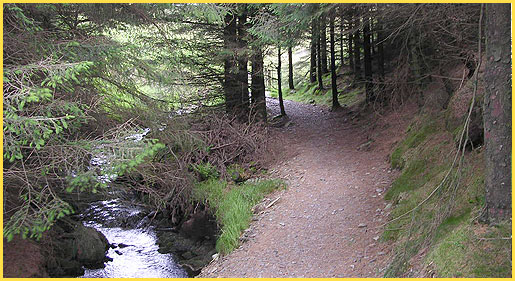 Walk the Source of the Severn / Wye