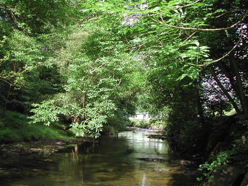 River Clywedog runs through the caravan park