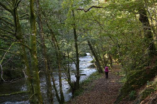 Riverside Walk starts at the caravan park - Clywedog Park