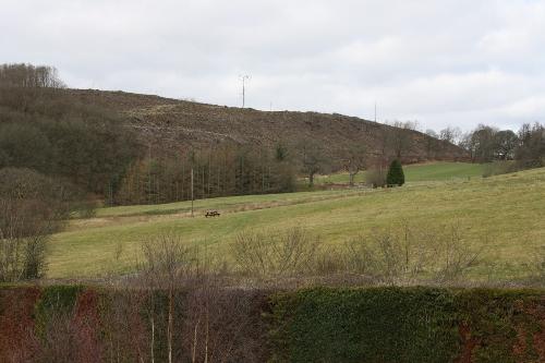 Picnic Area, Fields and our Pond Here at Clywedog Caravan Park