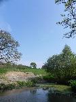 Nature Pond on Llanidloes Caravan Park