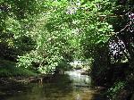 River Clywedog runs through the caravan park