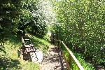 Walking path at Clywedog Caravan Park