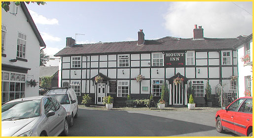 The Mount Inn - Llanidloes