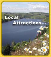 Local Attractions