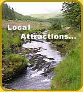 Local Attractions